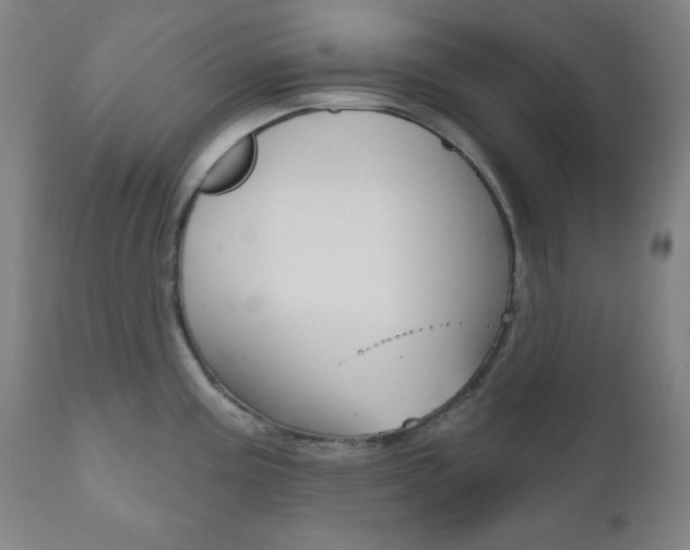 X0000110861195200906180938