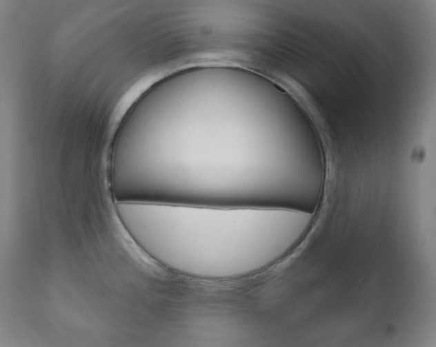X0000110861196200906180938