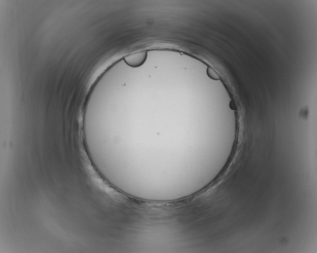 X0000110861198200906180938