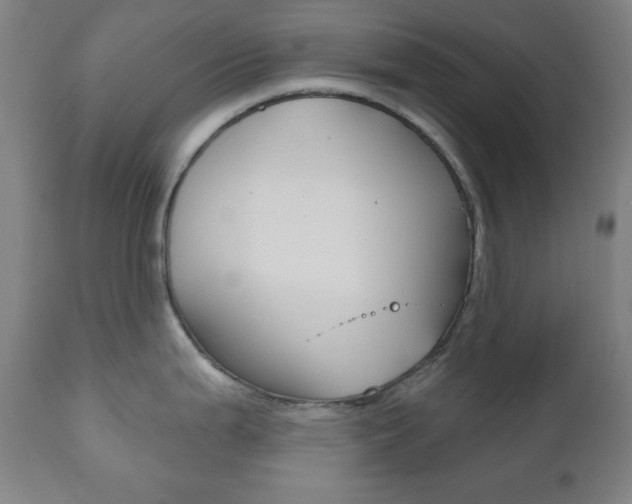 X0000110861199200906180938