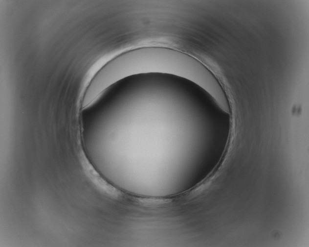 X0000110861200200906180938