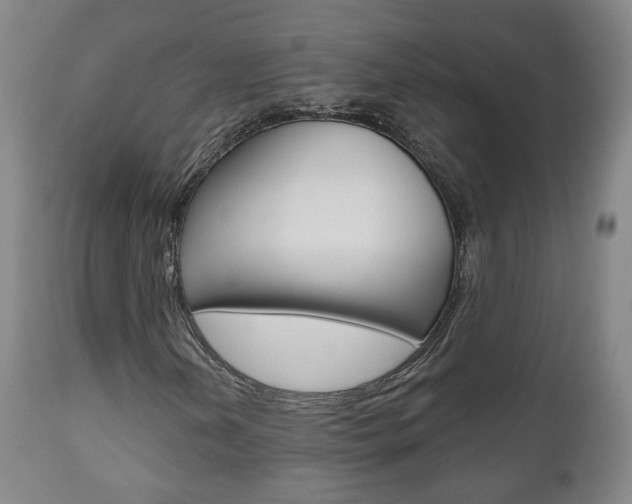 X0000110861202200906180937