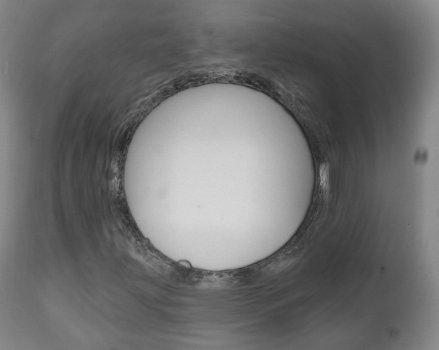 X0000110861203200906180937