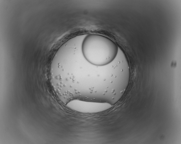 X0000110861205200906180937