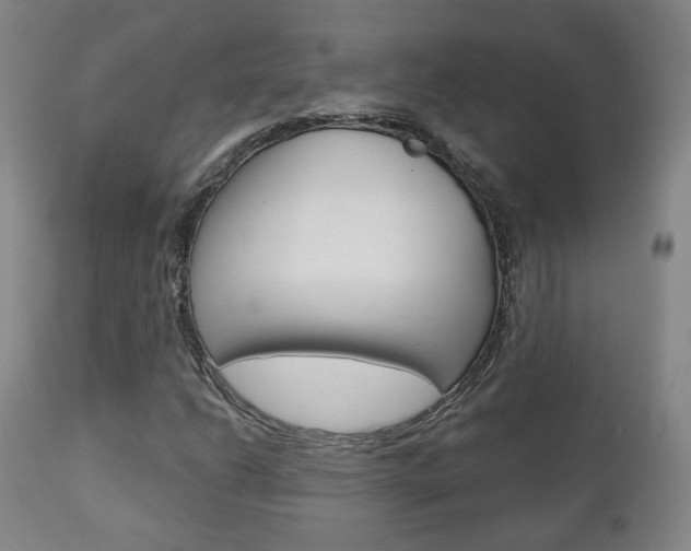 X0000110861206200906180937