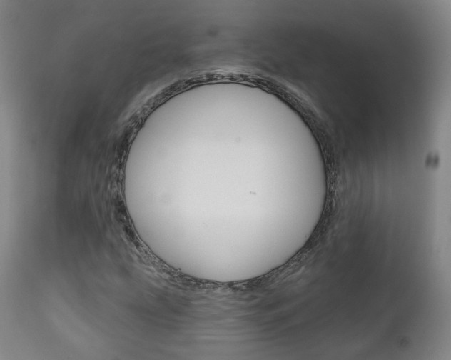 X0000110861207200906180937