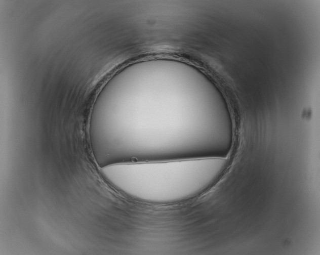 X0000110861209200906180937