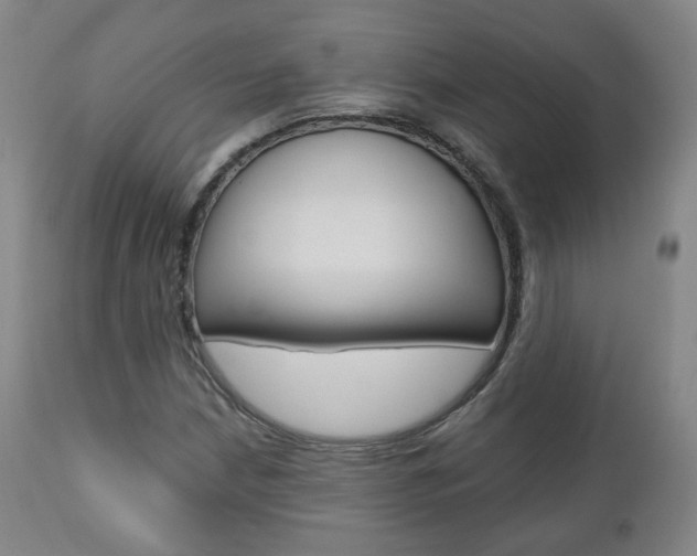 X0000110861210200906180937