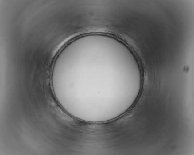 X0000110861212200906180937