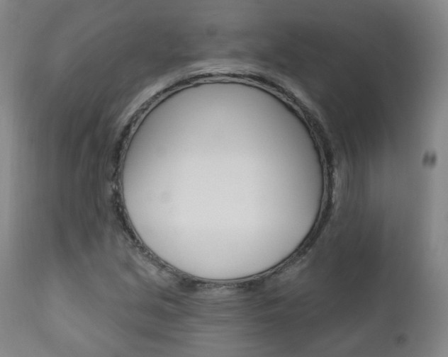 X0000110861213200906180937