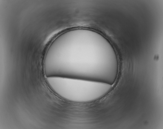 X0000110861214200906180937