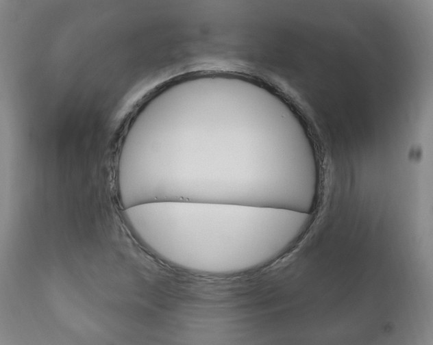 X0000110861215200906180937