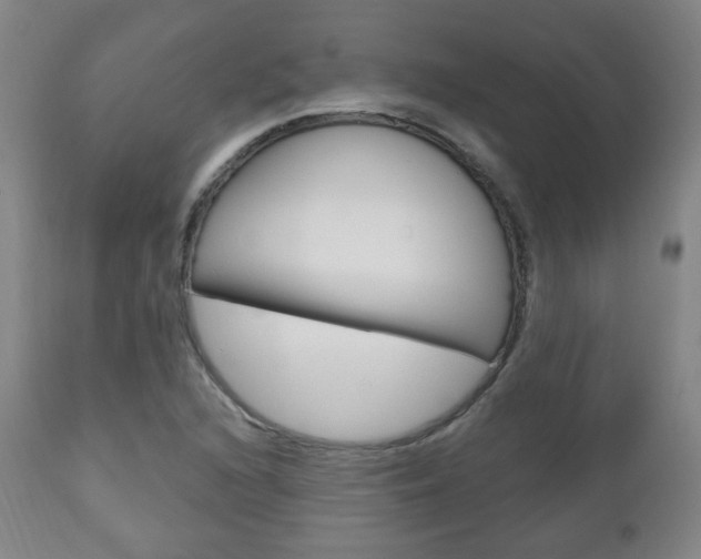 X0000110861216200906180937