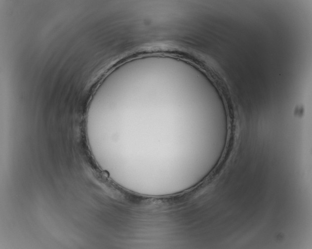 X0000110861217200906180937