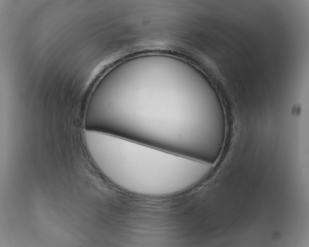 X0000110861218200906180937