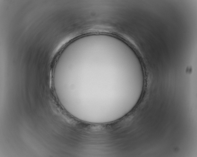 X0000110861219200906180937