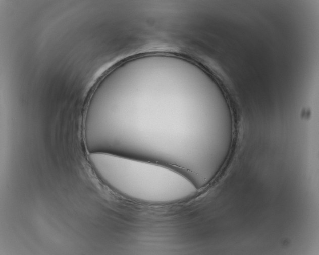 X0000110861220200906180937