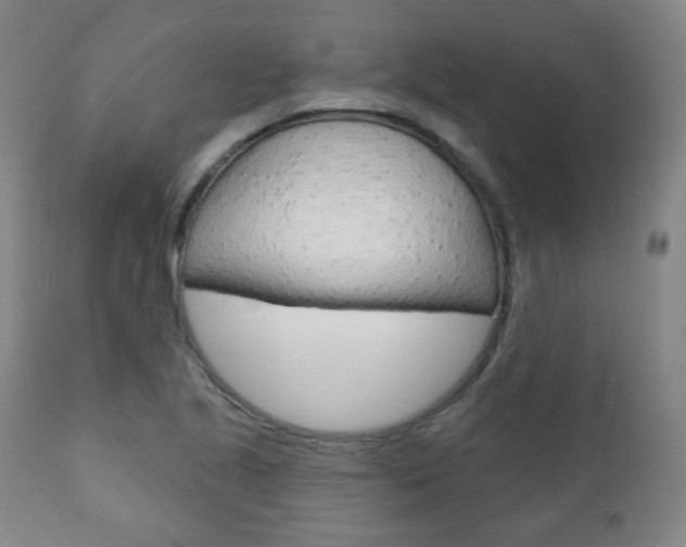 X0000110861221200906180937