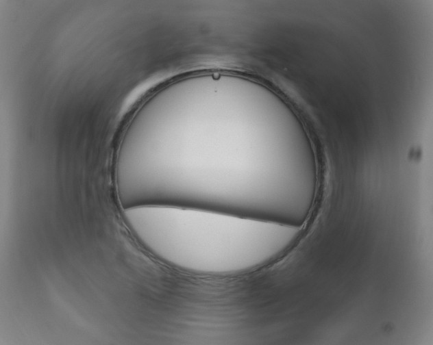 X0000110861222200906180937