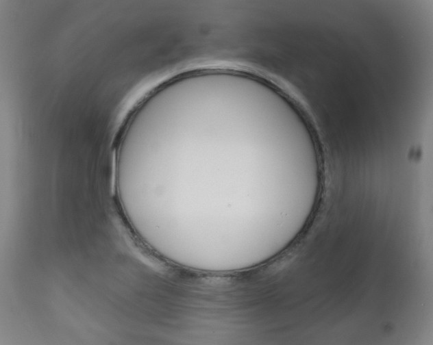 X0000110861223200906180937