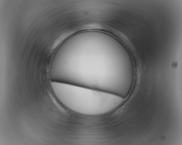 X0000110861225200906180937