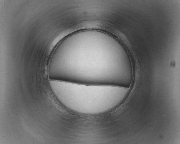 X0000110861226200906180937