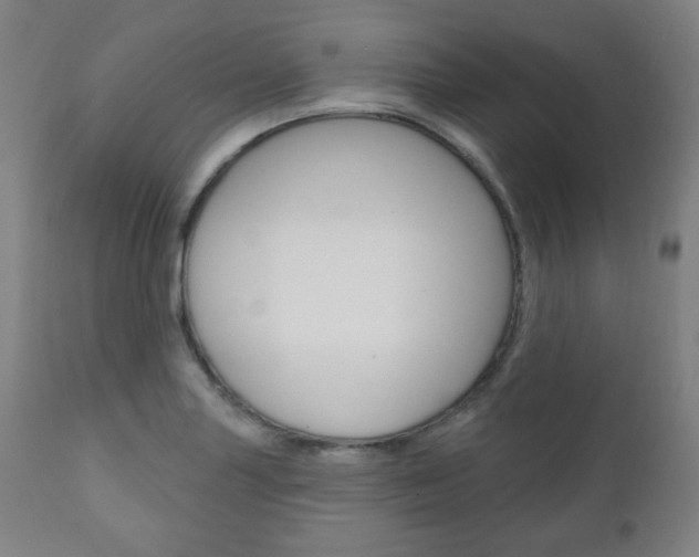X0000110861227200906180937