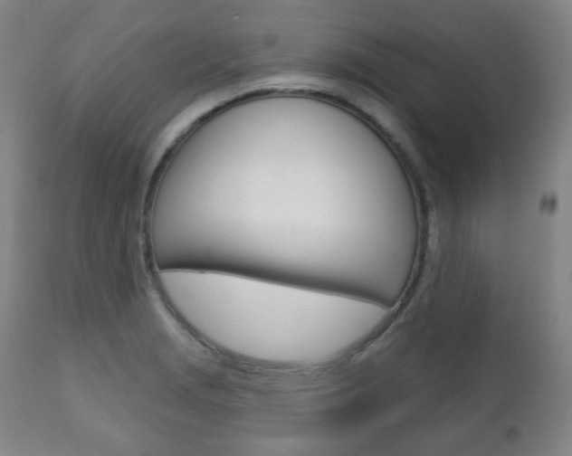 X0000110861229200906180937