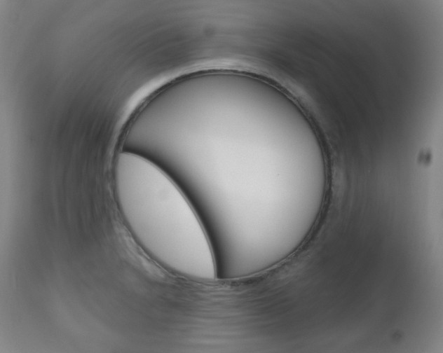 X0000110861230200906180937