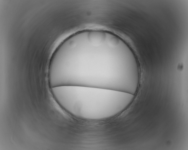 X0000110861231200906180937