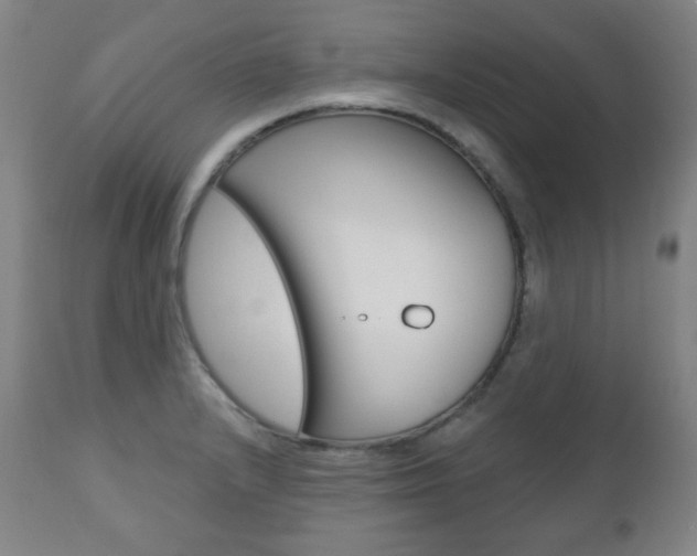 X0000110861232200906180937