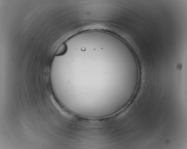 X0000110861233200906180938