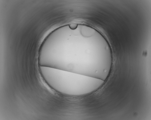 X0000110861235200906180938