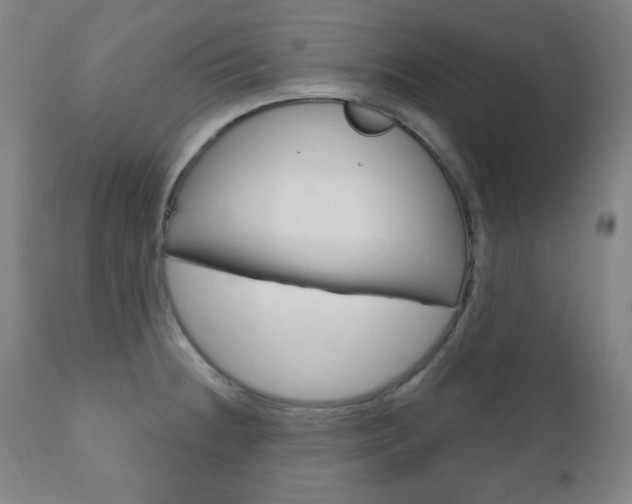 X0000110861236200906180938