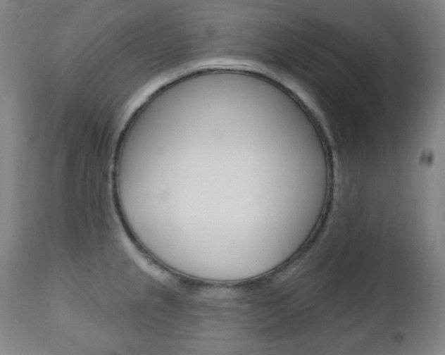 X0000110861237200906180938