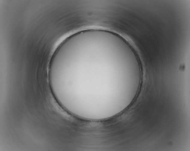 X0000110861238200906180938