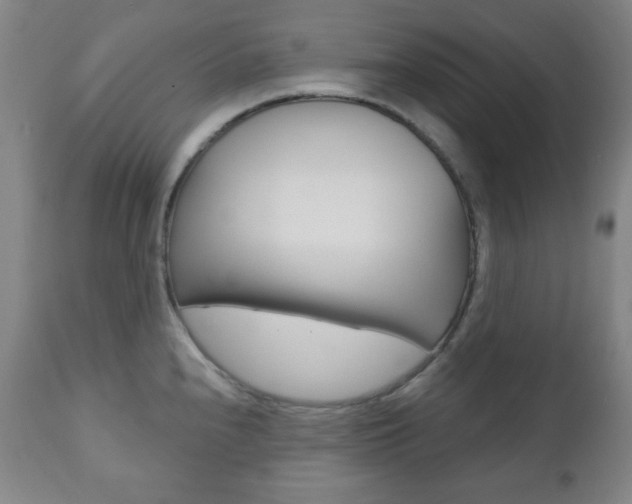 X0000110861240200906180938