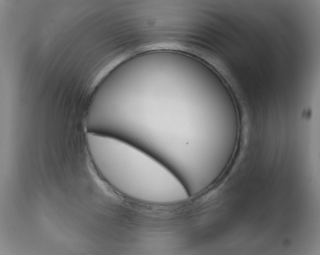 X0000110861241200906180938