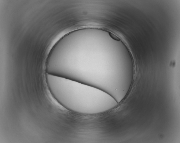 X0000110861243200906180938