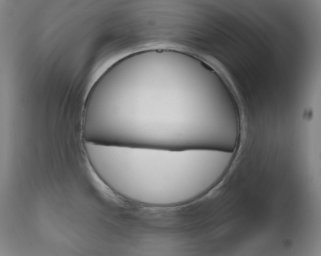 X0000110861244200906180938