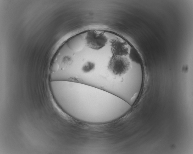 X0000110861245200906180938