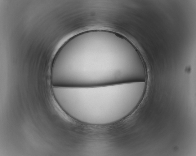 X0000110861246200906180938