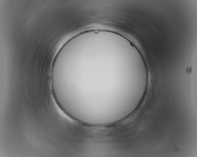 X0000110861247200906180938