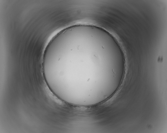 X0000110861248200906180938