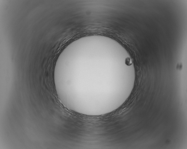 X0000110861249200906180937