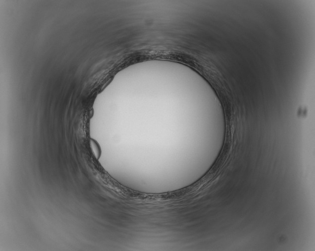 X0000110861250200906180937
