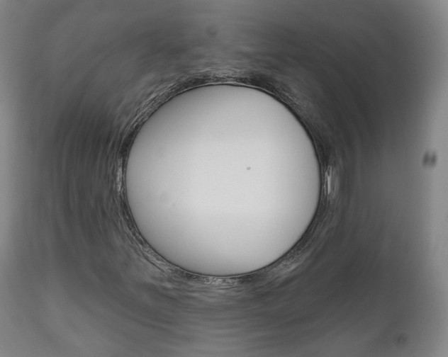 X0000110861251200906180937
