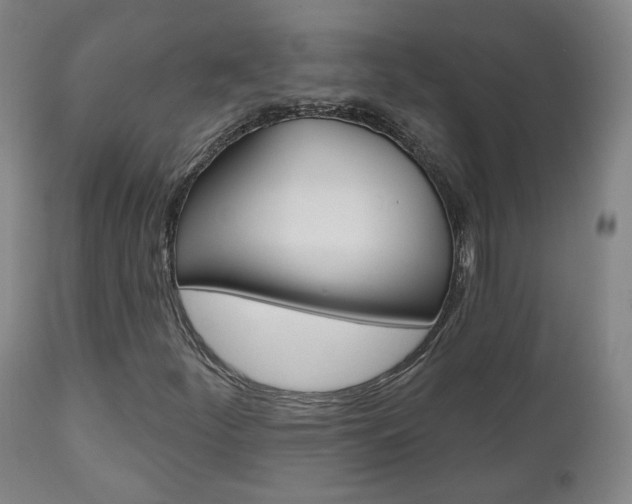 X0000110861252200906180937