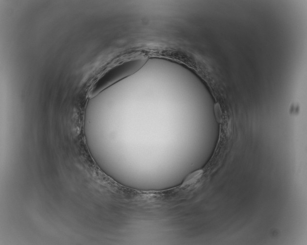 X0000110861253200906180937