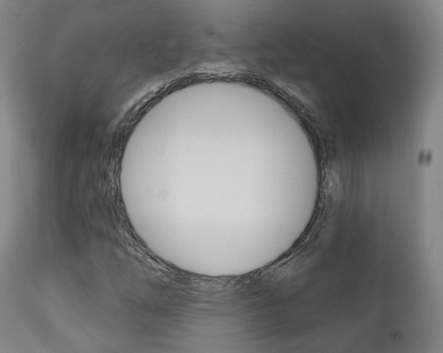 X0000110861254200906180937